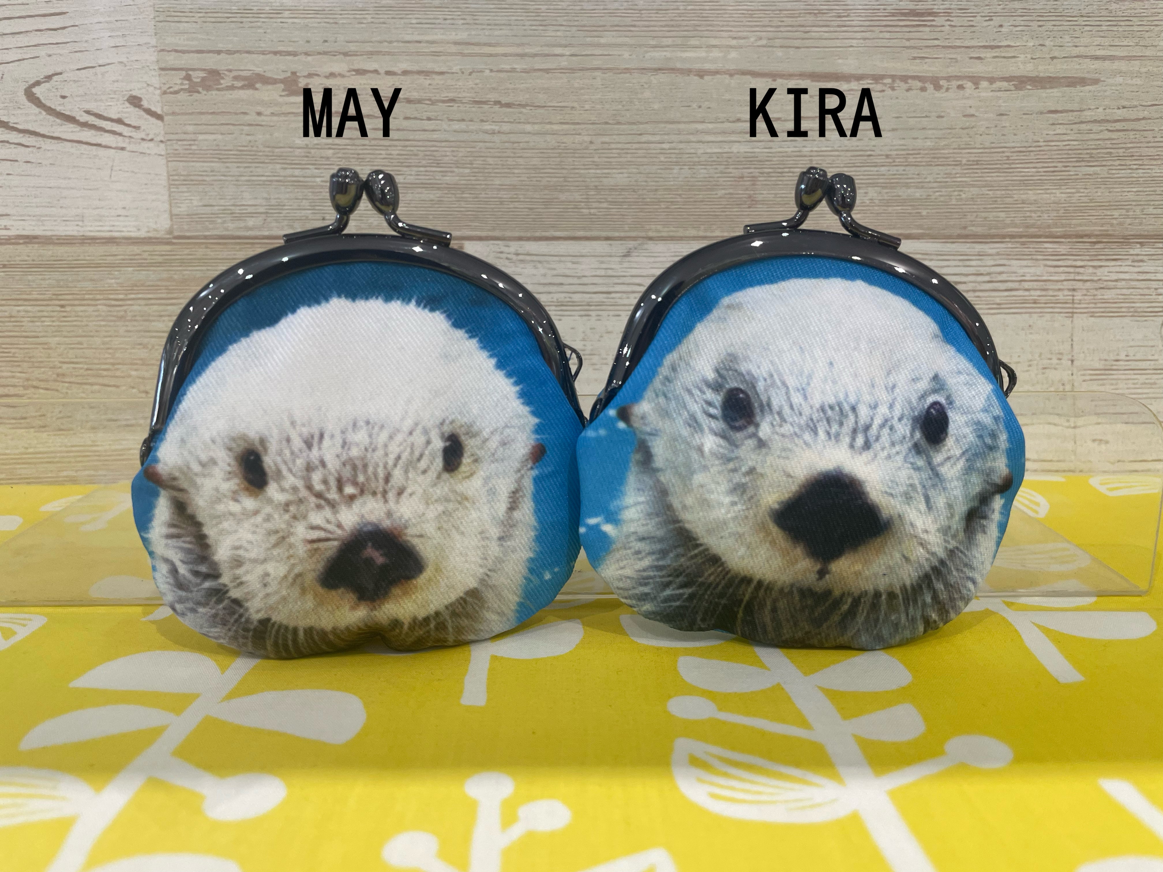 がま口 MAY☆KIRA【オリジナル】 – 鳥羽水族館オンラインショップ