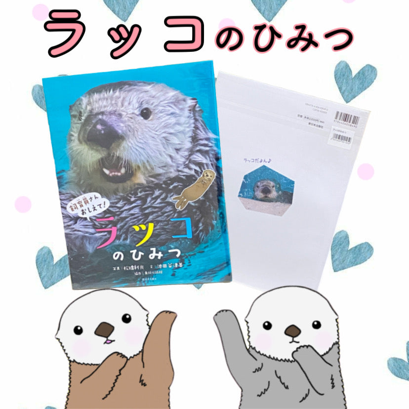 飼育員さんおしえて! ラッコのひみつ – 鳥羽水族館オンラインショップ