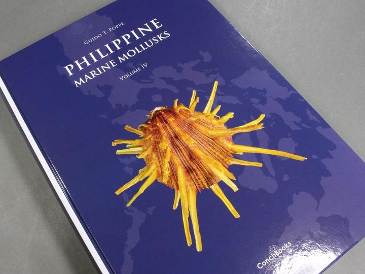 Philippine Marine Mollusks Volume 4