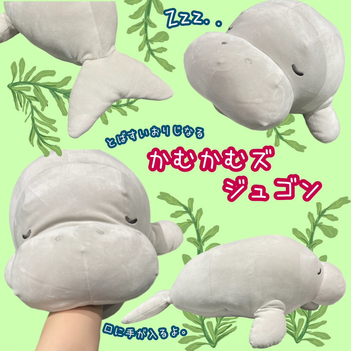 激安通販特集！ かむかむズジュゴン【オリジナル】 鳥羽水族館オンラインショップ – コレクション