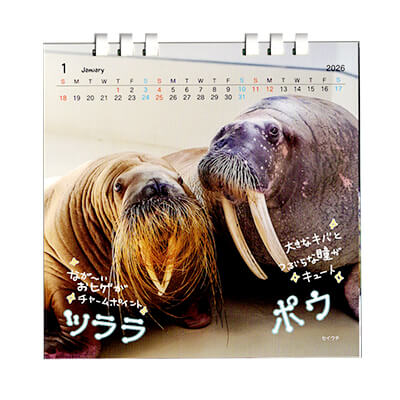 鳥羽水族館公式カレンダー2026販売サイト – 鳥羽水族館