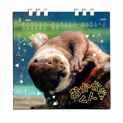 ※値段交渉可　☆鳥羽水族館☆メイ、ポテトとジュゴンのホログラムカード2枚セット ☆鳥羽水族館☆ラッコ(メイ、ポテト)とジュゴンのホログラム