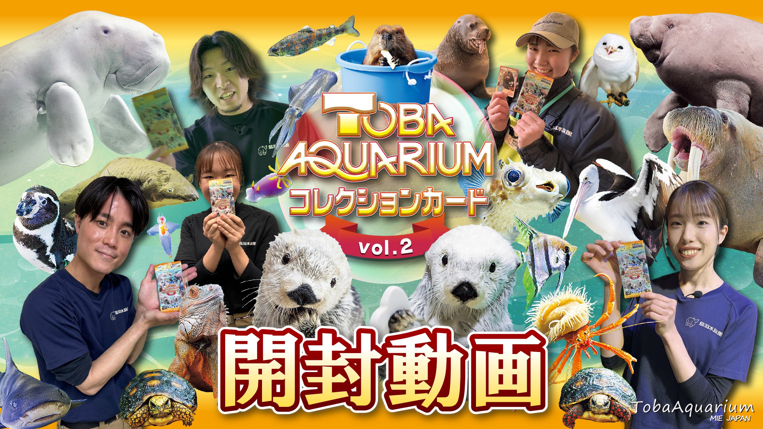 鳥羽水族館公式コレクションカードVol2 販売サイト – 鳥羽水族館