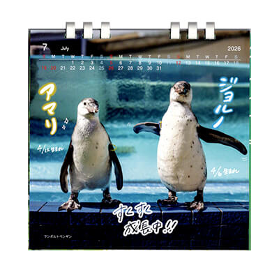 鳥羽水族館アイテムまとめ売り Amazon.co.jp: 鳥羽水族館 グッズ : おもちゃ