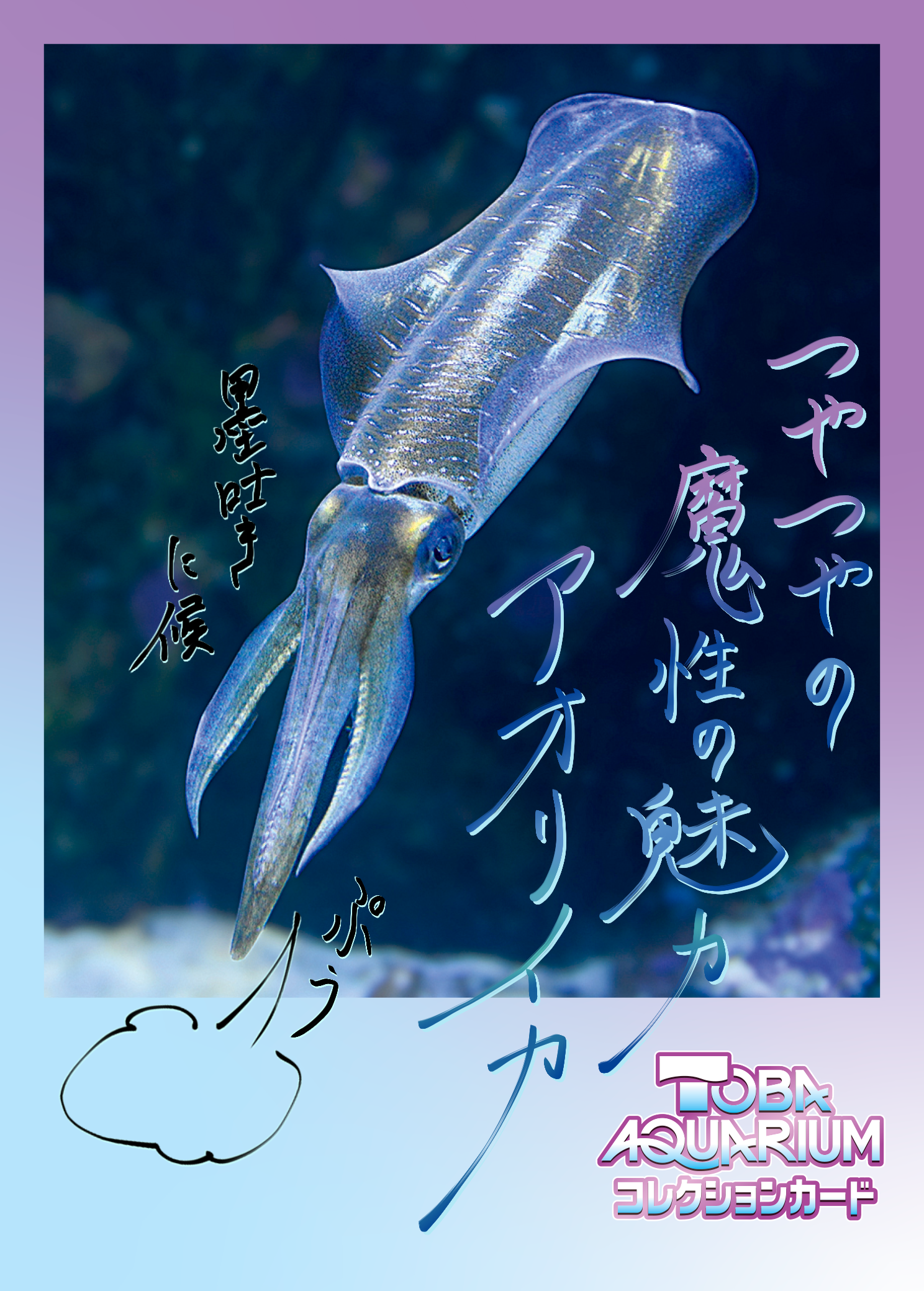 まーしー様 鳥羽水族館 コレクションカード第2弾 50パック TOBA まーしー様 鳥羽水族館 コレクションカード第2弾 50パック TOBA