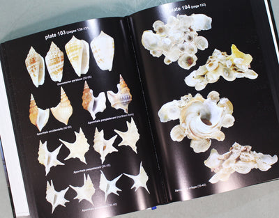 A Guide to Marine Molluscs of Europe