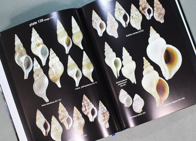 A Guide to Marine Molluscs of Europe