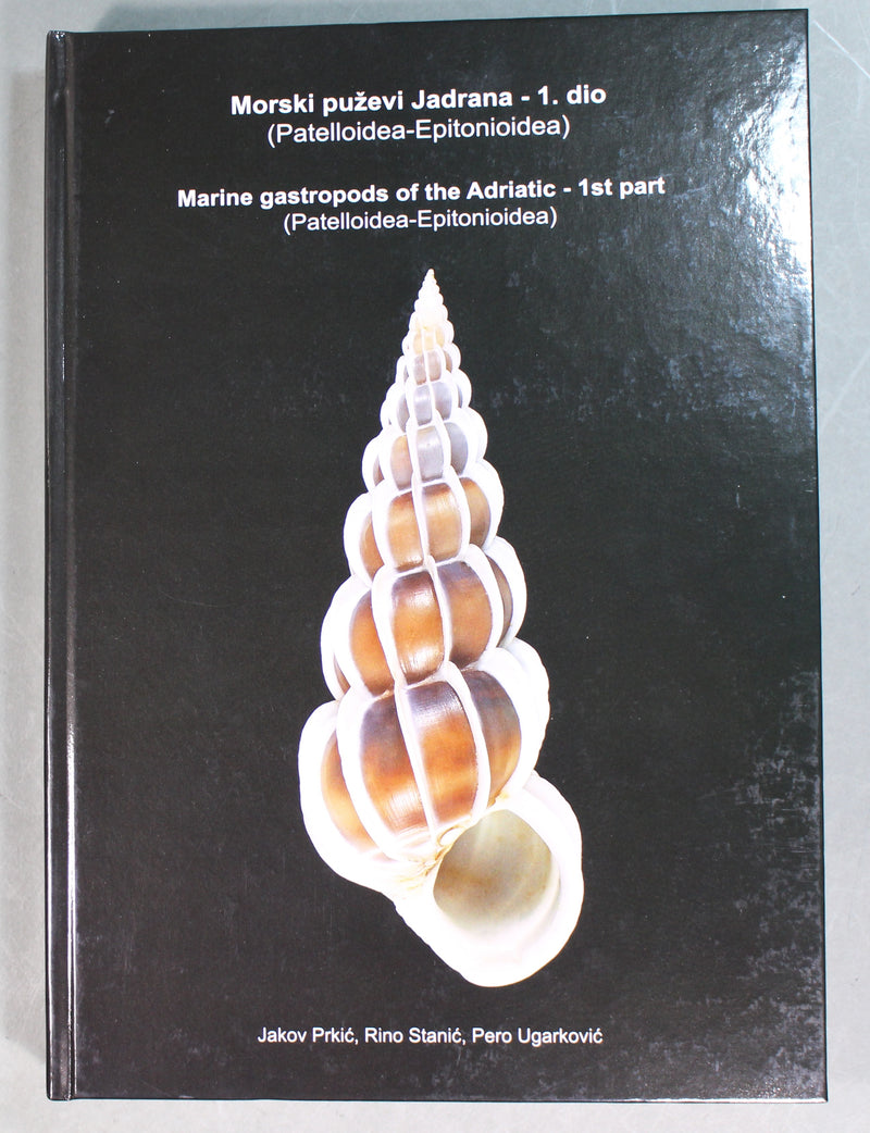 Marine gastropods of the Adriatic - 1st part