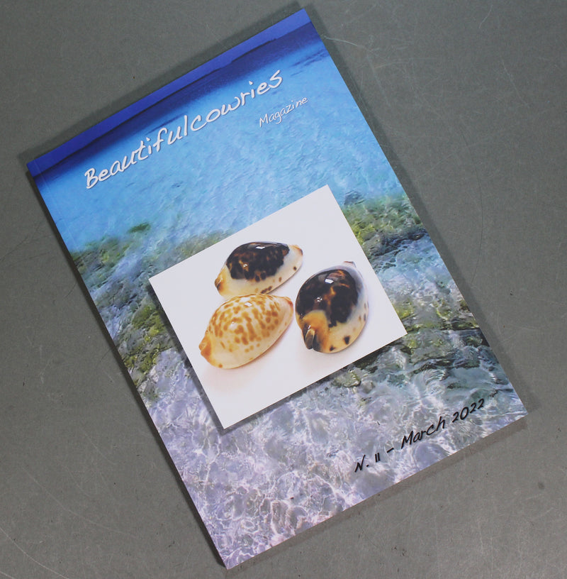 Beautifulcowries Magazine No. 11