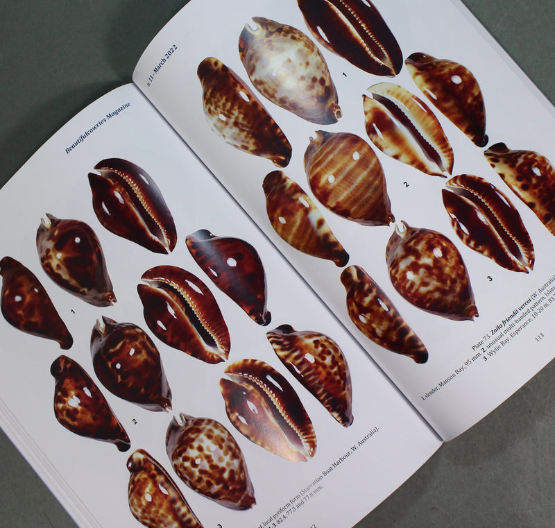 Beautifulcowries Magazine No. 11