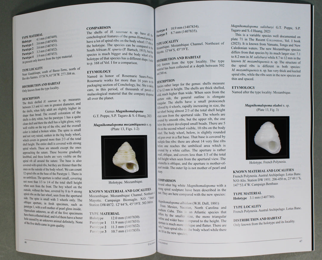 The Recent Colloniidae Volume2 – 鳥羽水族館オンラインショップ