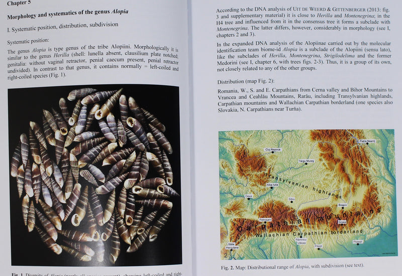 European Door Snails (Clausiliidae), II: special extant and fossil groups