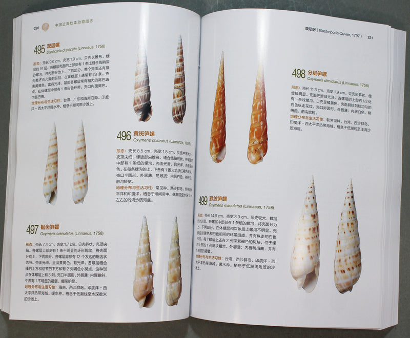 中国近海軟体動物図誌　Mollusks of the Chinese Coastal Seas