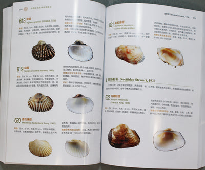 中国近海軟体動物図誌　Mollusks of the Chinese Coastal Seas