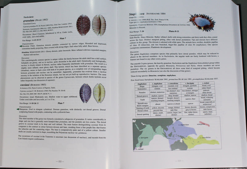 COWRIES A Guide to the Gastropod Family Cypraeidae Volume 1　＆　2