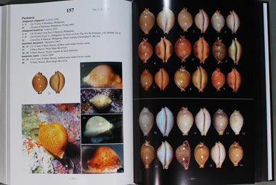 COWRIES A Guide to the Gastropod Family Cypraeidae Volume 1　＆　2