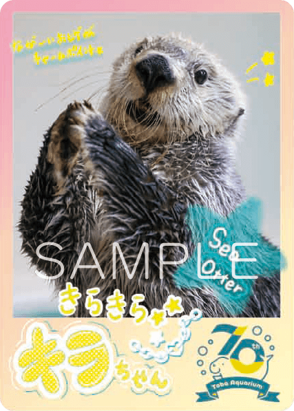 鳥羽水族館公式ネット販売サイト – 鳥羽水族館コレクションカード販売