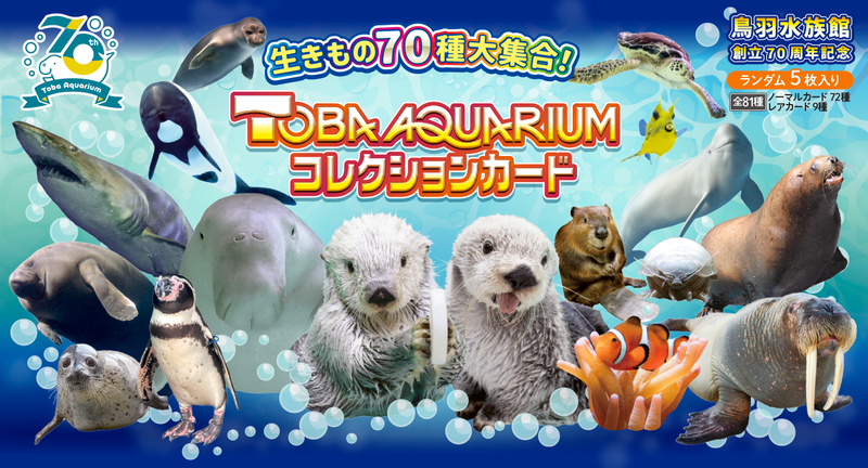 TOBA AQUARIUM　コレクションカードセット　　お一人様1セット【オリジナル】