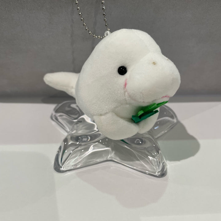 鳥羽水族館　70周年記念　ジュゴン　セレナ　ぬいぐるみ Amazon.co.jp: 鳥羽水族館70周年記念ジュゴン セレナ ぬいぐるみ
