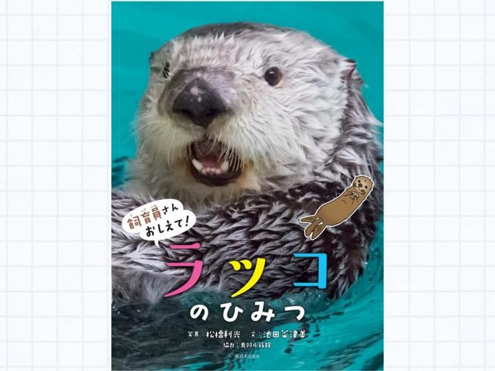 飼育員さんおしえて! ラッコのひみつ – 鳥羽水族館オンラインショップ