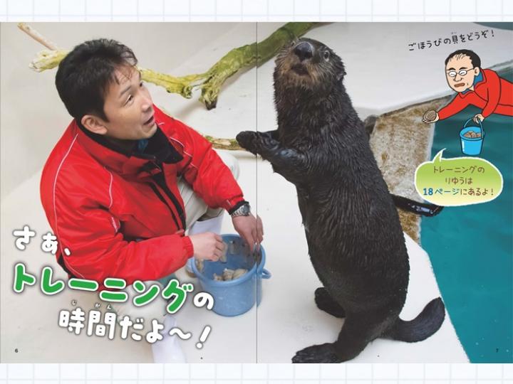 飼育員さんおしえて! ラッコのひみつ – 鳥羽水族館オンラインショップ