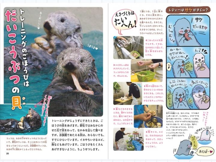 飼育員さんおしえて! ラッコのひみつ – 鳥羽水族館オンラインショップ