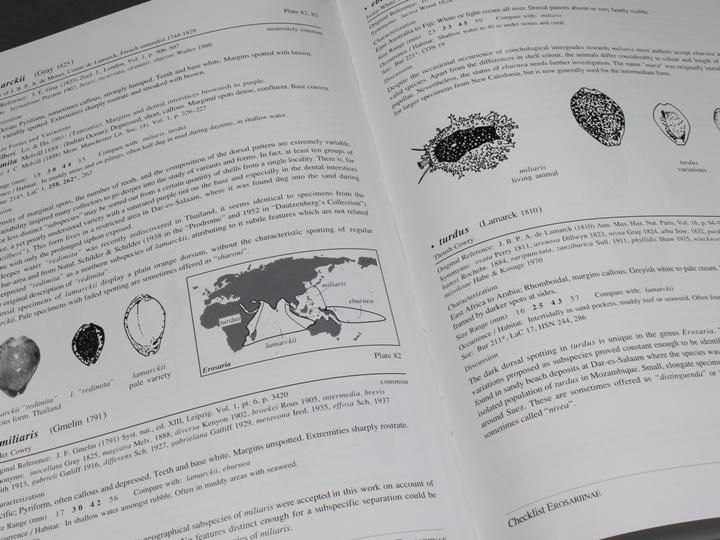 A GUIDE TO WORLDWIDE COWRIES第二版